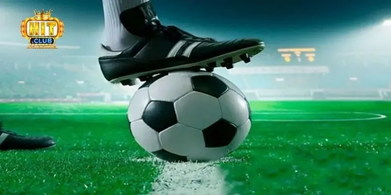 Top 5 môn thể thao phổ biến tại Hitclub